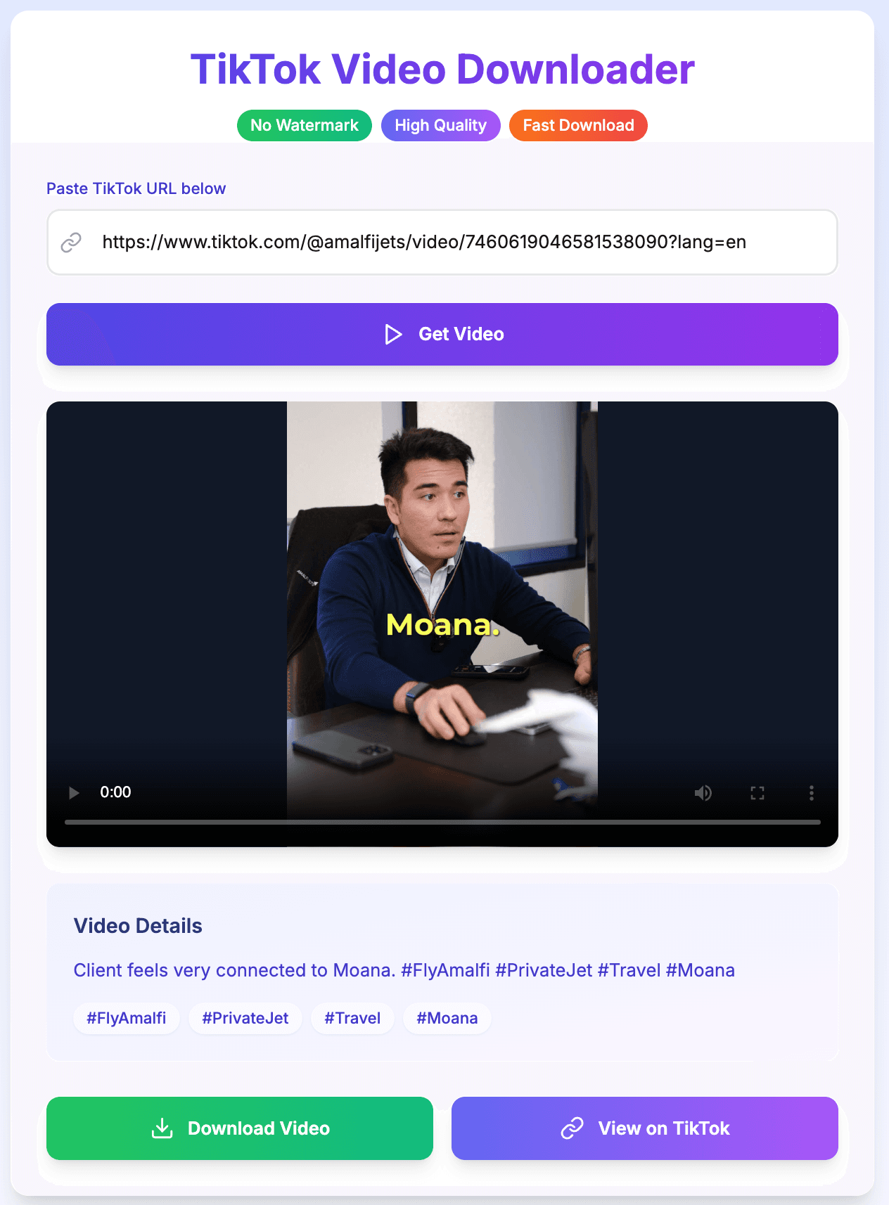 TikTok Video Downloader Interface